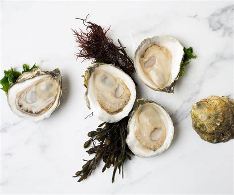 Island creek oyster - Nov 29, 2021 · Island Creek Oysters straddles the line between fancy food and fishermen's grub, offering both a $9 burger and a $45 slice of cake, Bennett said. The dessert, called "olive oil cake" on the menu ... 
